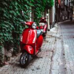 Italian Culture - red motor scooter parked beside green plants