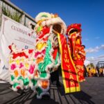 Cultural Events - a lion dance is being performed in front of a crowd
