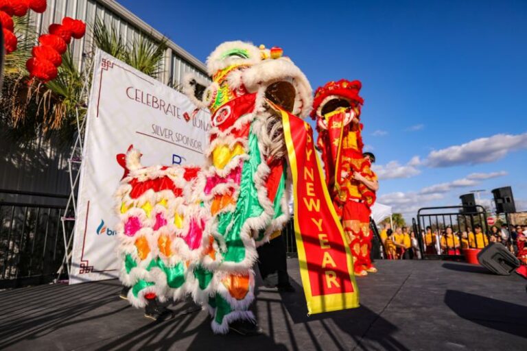 Cultural Events - a lion dance is being performed in front of a crowd